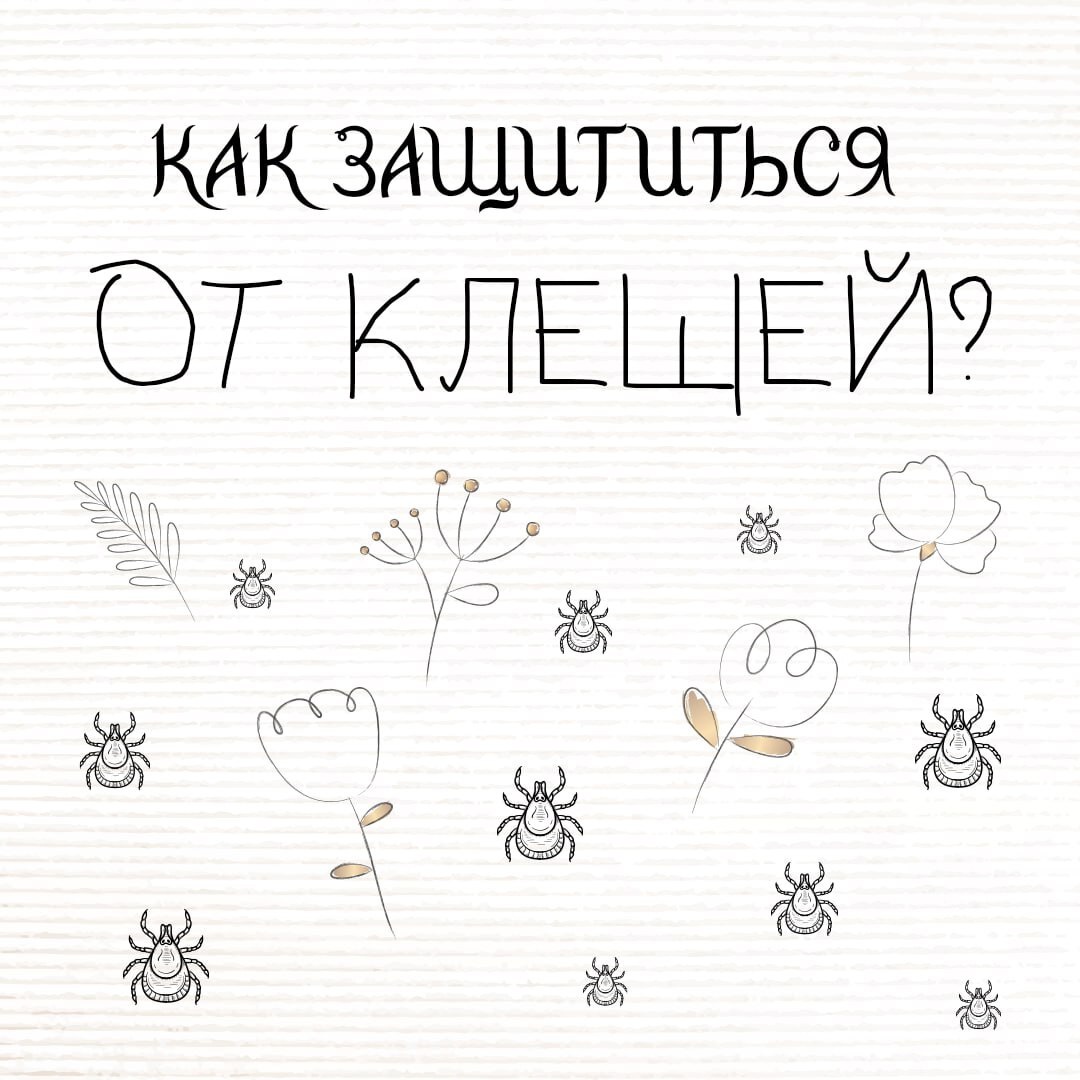 клещ1.jpg