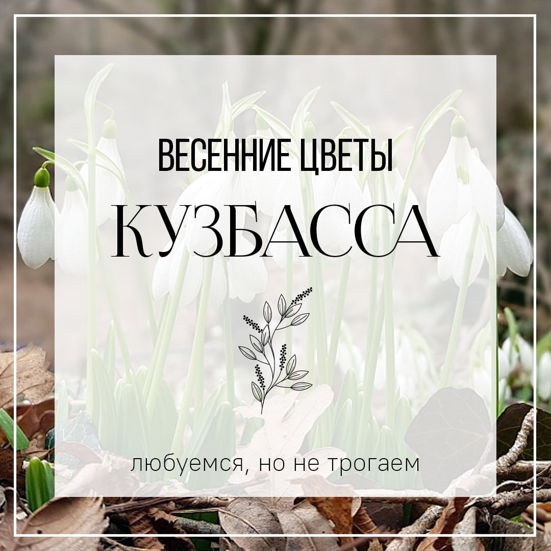 Цветы1.jpg