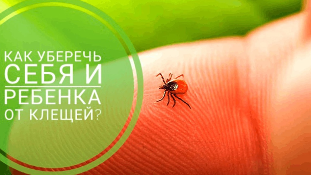 клещи.jpg